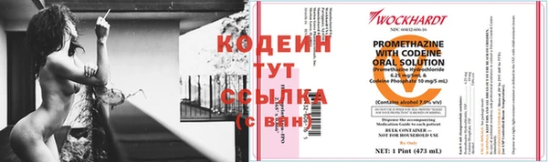 гашик Магас