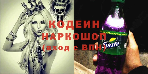 молекула духа Лихославль