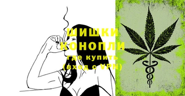 гашик Магас