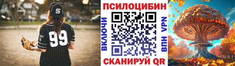 Купить закладки  Курганинск  Псилоцибиновые грибы Psilocybine cubensis 
