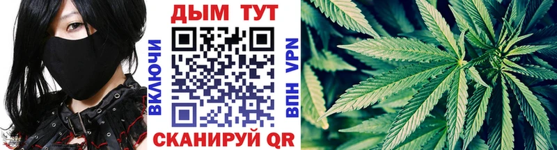 Купить где  Курганинск  Конопля гибрид 